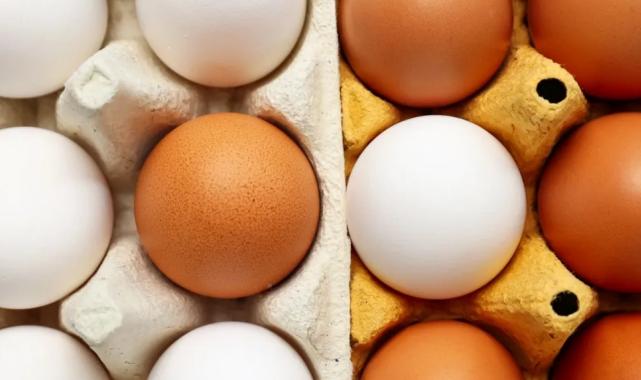 Yumurtanın doğrudan arzında limit artışı… Resmi Gazete’de yayımlandı