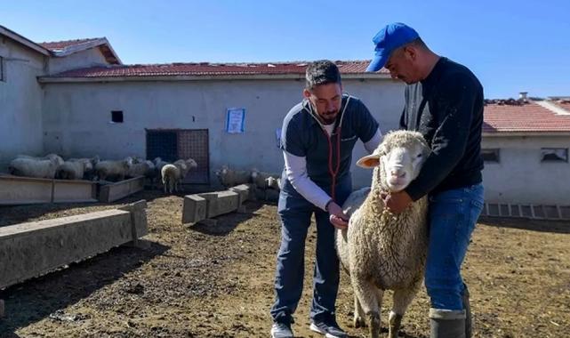 ABB’den kırsala veterinerlik hizmeti
