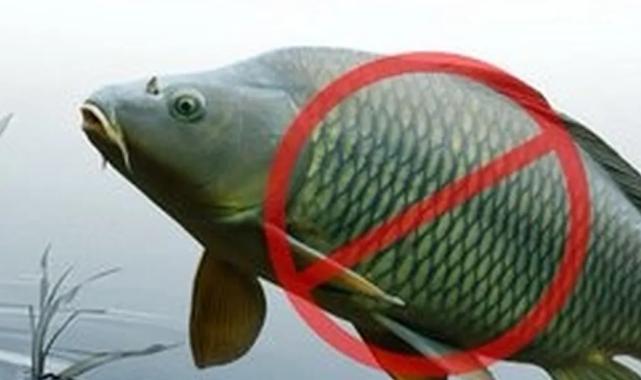 Adana’da sazangillerin avcılığına 31 Mayıs’a yasak!