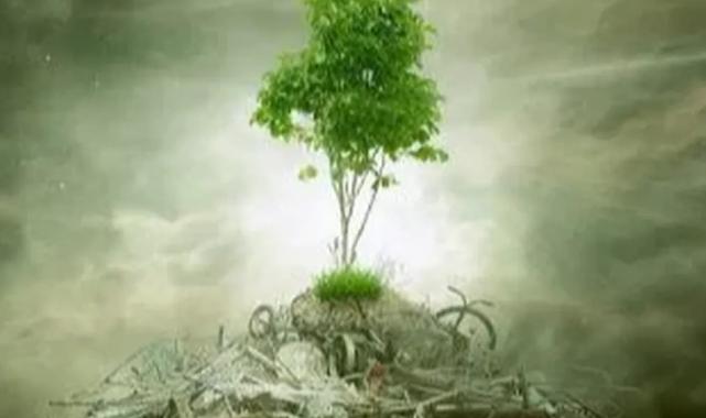 ÇED ‘gerekli değil’ kararı kaldırıldı! Yönetmelikle süreçler değişti