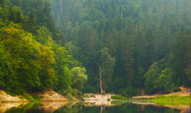 Doğa Koruma ve Milli Parklar’da yeni dönem… Yetkiler artırıldı, cezalar yükseltildi