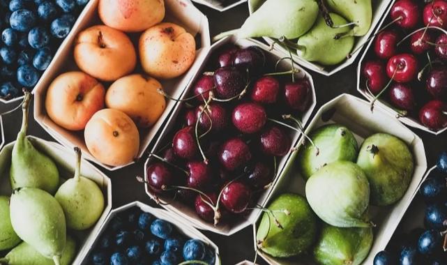 Egeli yaş meyve sebze ihracatçıları üç koldan sürdürülebilirlik atağında