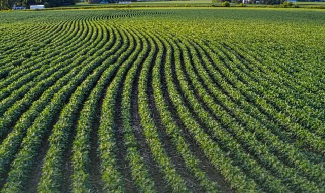 Tarım arazilerinin etkin kullanımı için hibe desteği