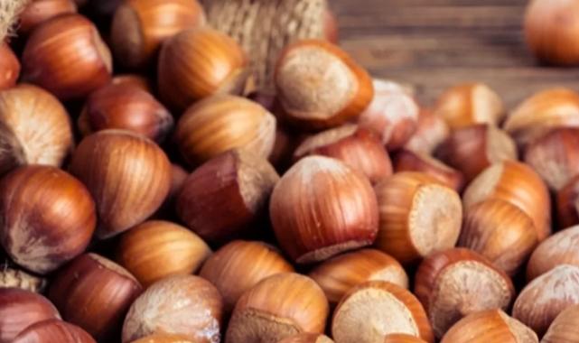 TMO’dan ‘kabuklu fındık’ açıklaması: Satışımız ve hazırlığımız bulunmamaktadır