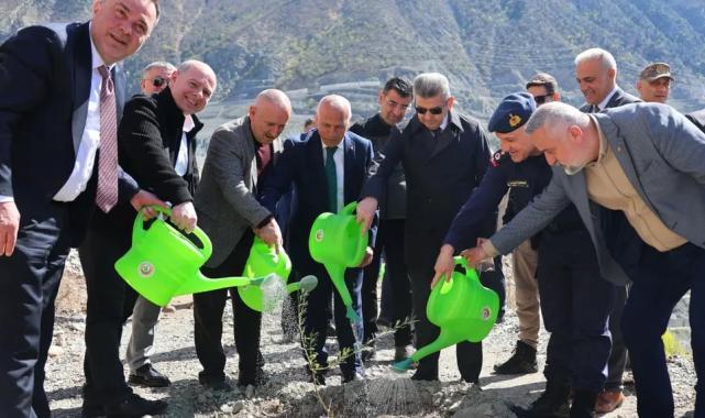 Artvin’de Butko zeytini üretimi yaygınlaşıyor