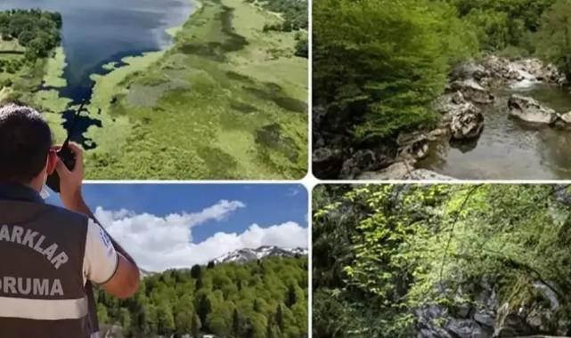 Doğa Koruma ve Milli Parklar Uzmanlığı için ‘tez’ zorunluluğu