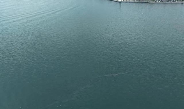 İzmir Körfezi’nde dış kaynaklı kirliliğin önüne geçilemiyor