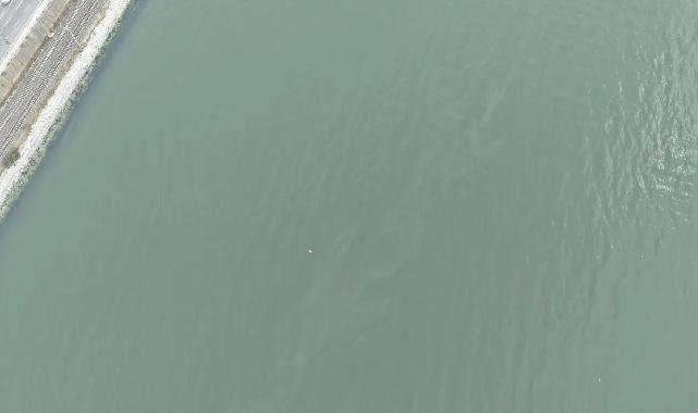 İzmir Körfezi’nde kirlilik endişelendiriyor! Aynı tehdit 11. kez görüldü