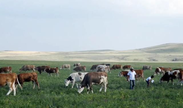 Kars Ani’de meralar yasaklandı mı? Açıklama geldi
