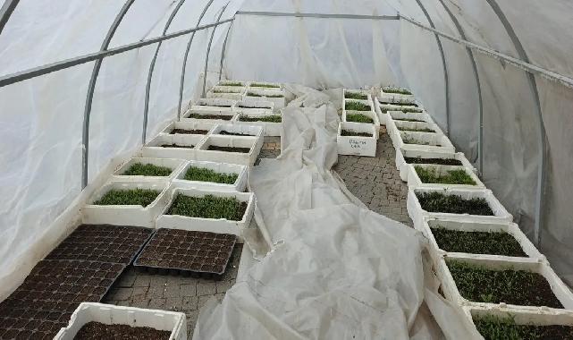 Kayseri Büyükşehir’in Doğal Ürünler Pazarı’nda geri sayım