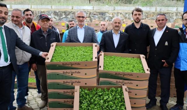 Kocaeli’de çiftçilere sebze fidesi desteği