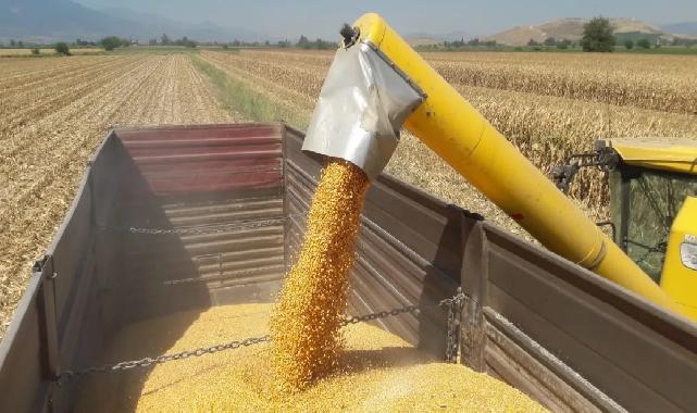 Mısır ithalatına 3 milyon tonluk tarife kontenjanı