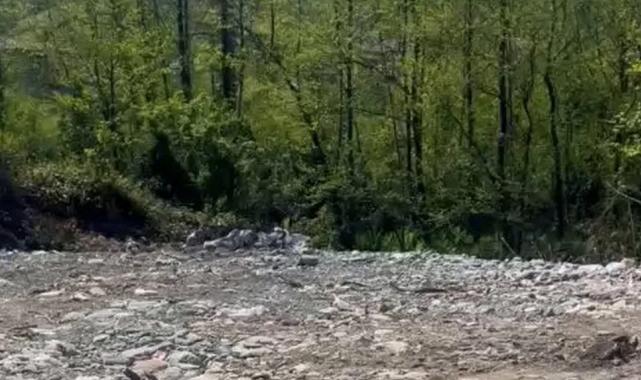 Rize’de vahşi depolamaya milyonluk ceza! Çevre’den suç duyurusu