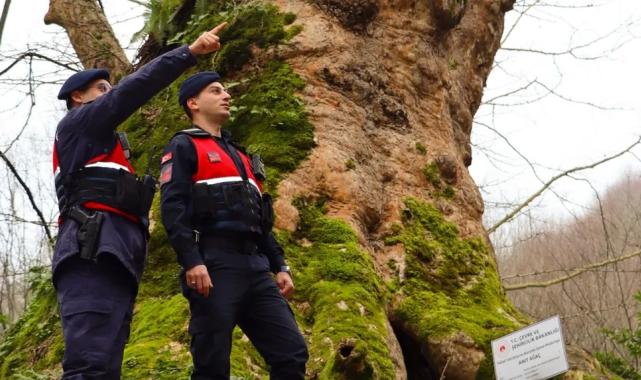 Yalova’da Jandarma turizm bölgelerinde güvenliği artırdı