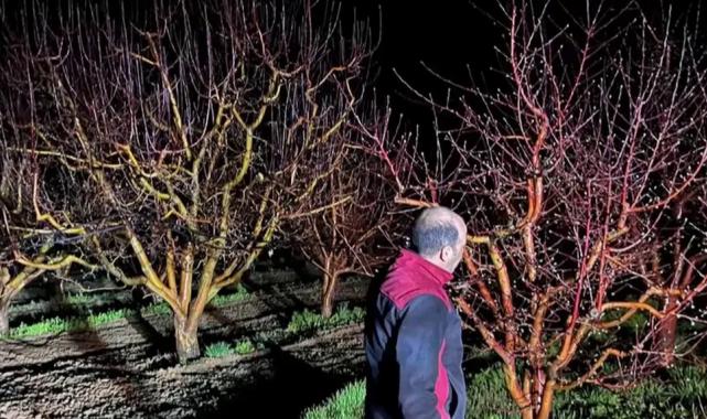 Zirai don alarmı! Ekipler sahada