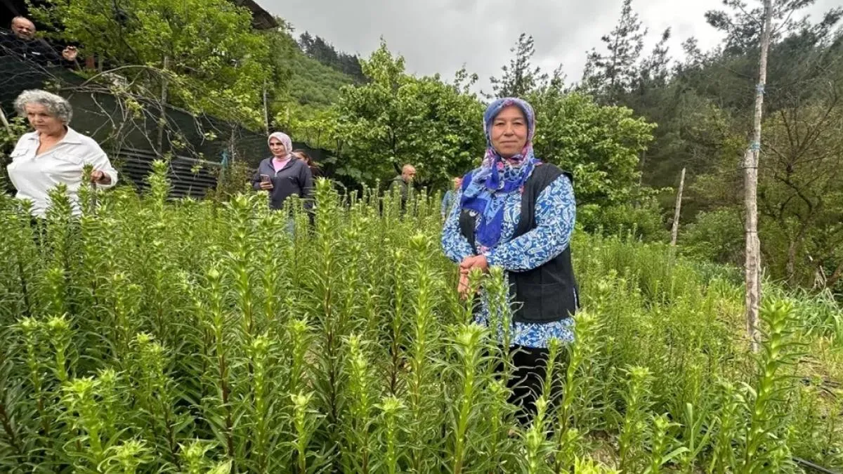 Adana’da ‘Ak Zambak’la kadın üretimi ve istihdama katkı
