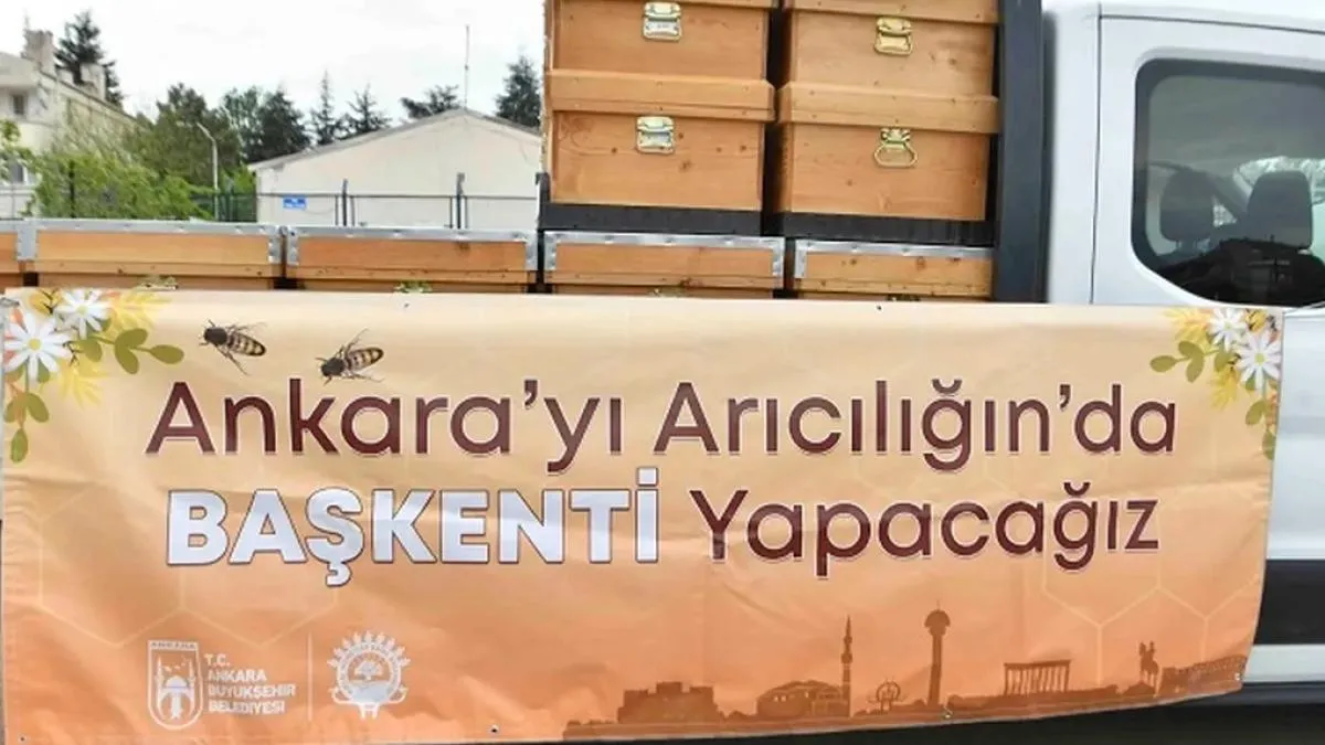 Ankara Büyükşehir’den arıcılara kovan desteği