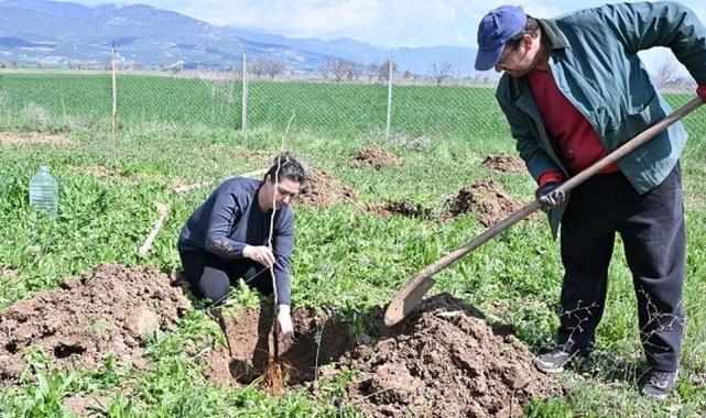 Antalya Büyükşehir ipek böceği yetiştiriciliğini yaygınlaştırıyor