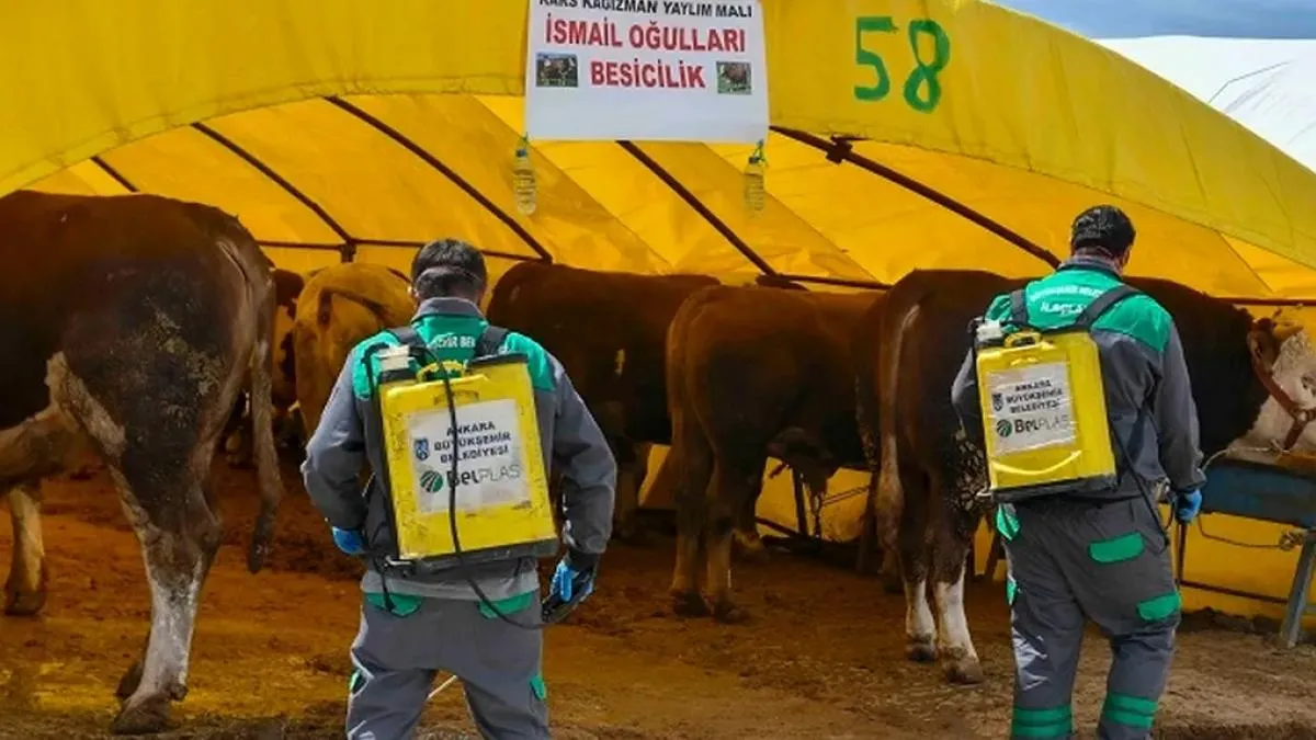 Başkent’te kurban alanlarına sıkı denetim