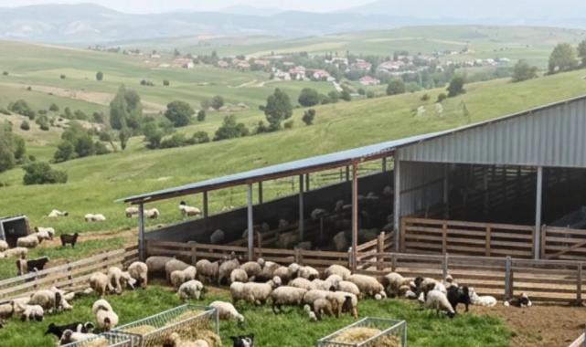 Çiftçilere 5,48 milyar TL tarımsal destek ödemeler hesaplarda