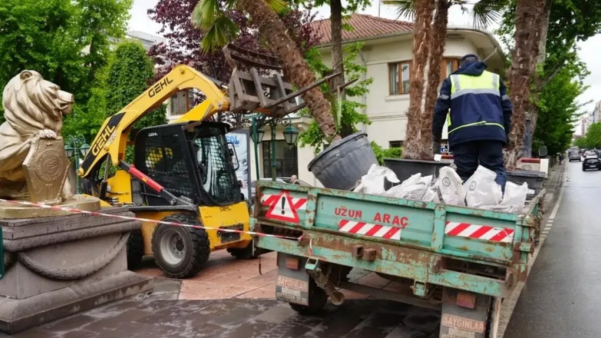 Eskişehir’de Köprübaşı palmiyeleri sahaya çıktı