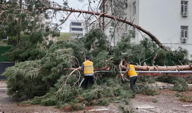 Gaziantep ve Şanlıurfa’ya 150 milyon TL afet desteği!