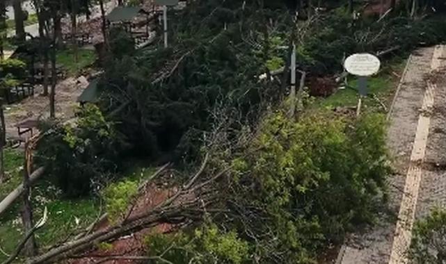 Gaziantep’e 50 milyon TL aktarıldı