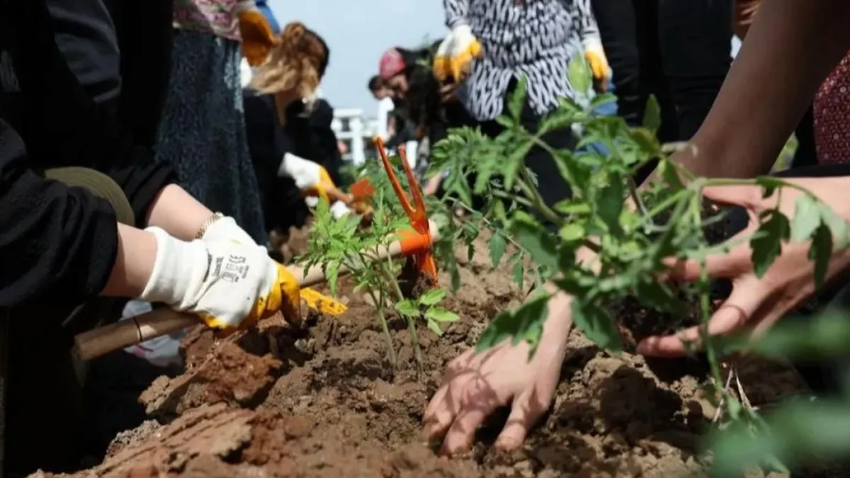 Kadın Kent Bostanı’nda fideler toprakla buluştu