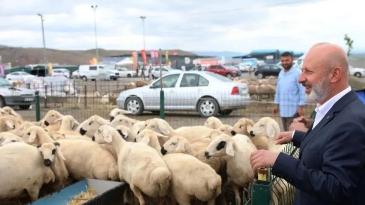 Kayseri Kocasinan’dan profesyonel kurban hazırlığı
