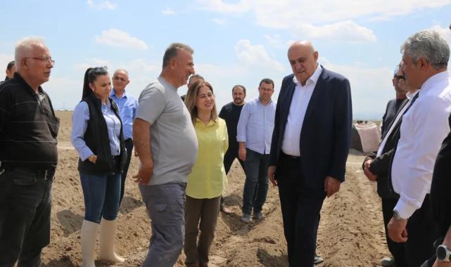 Konya’da patates atağı… İthal tohum dönemi sona eriyor