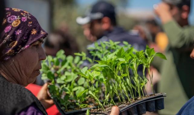 Muğla Milas’tan üreticilere fide desteği