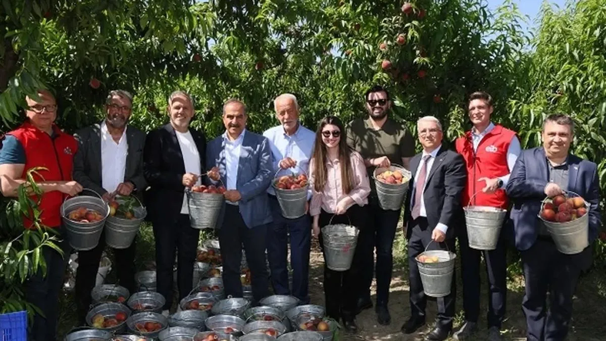 Şeftali ve nektarinde 250 milyon dolar ihracat hedefi