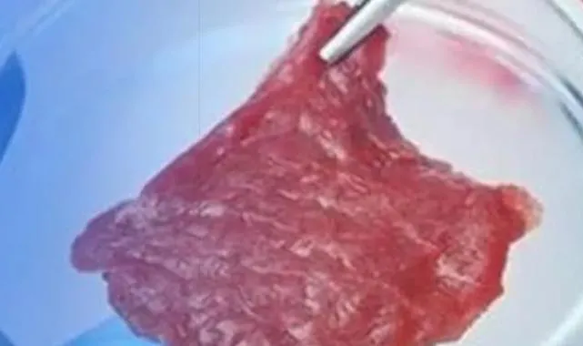 Tarım Bakanlığı’ndan ‘yapay et’ açıklaması… Türkiye’de üretim ve tüketime izin yok!