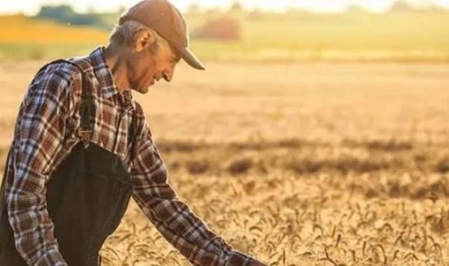 Tarım ürünlerinde fiyat artışı sürüyor… Tarım-ÜFE yıllık yüzde 42,53 yükseldi