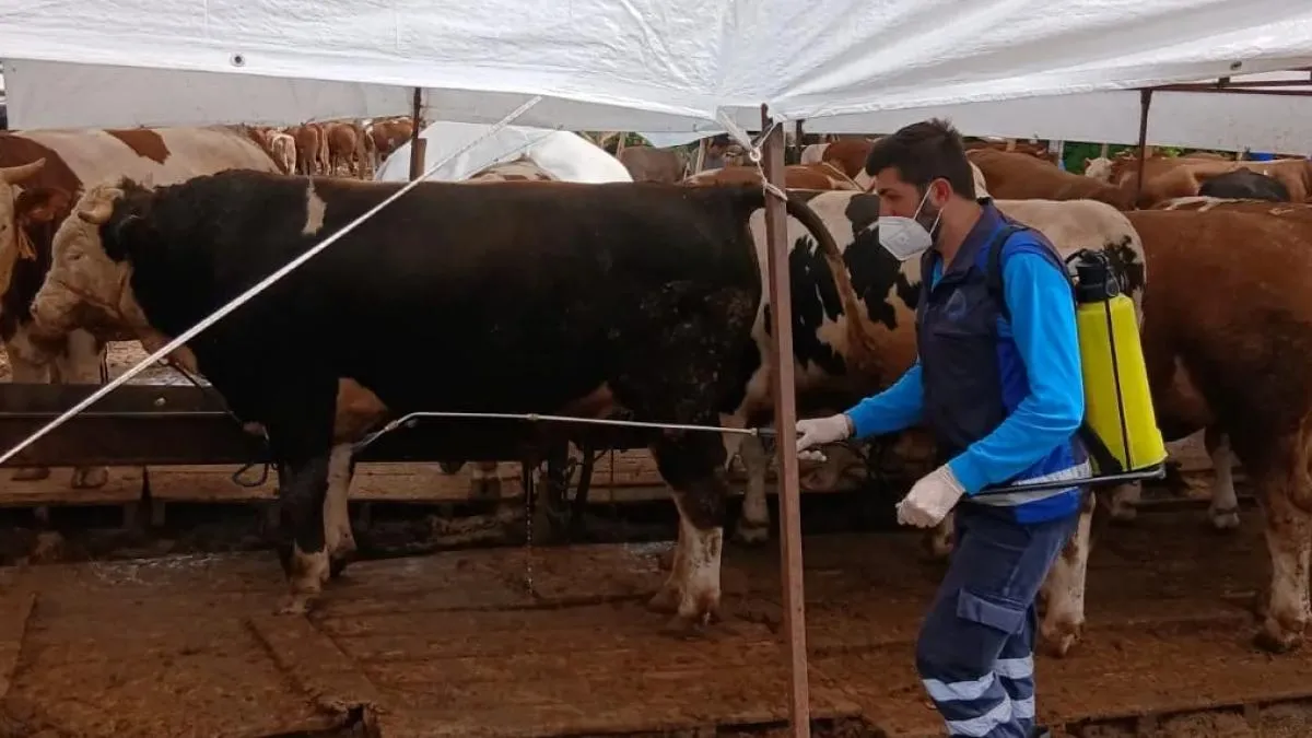 Trabzon’da kurban alanlarında hijyen seferberliği