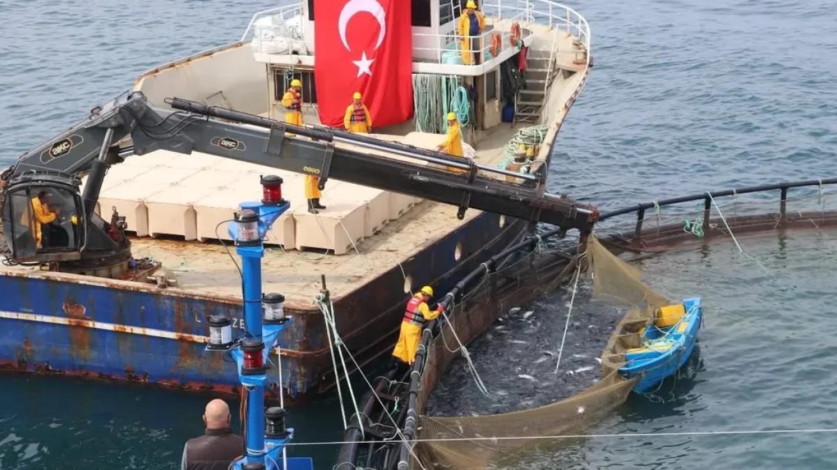 Avcılıkta artış, iç sularda düşüş!