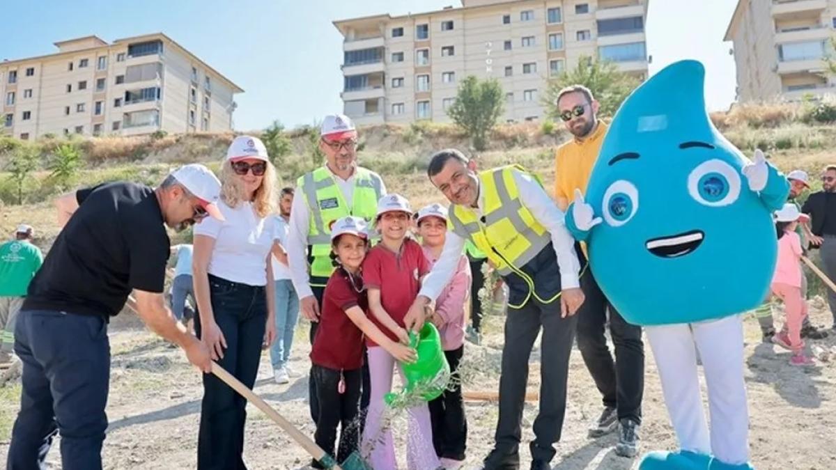 Denizli’de zeytin fidanları toprakla buluştu