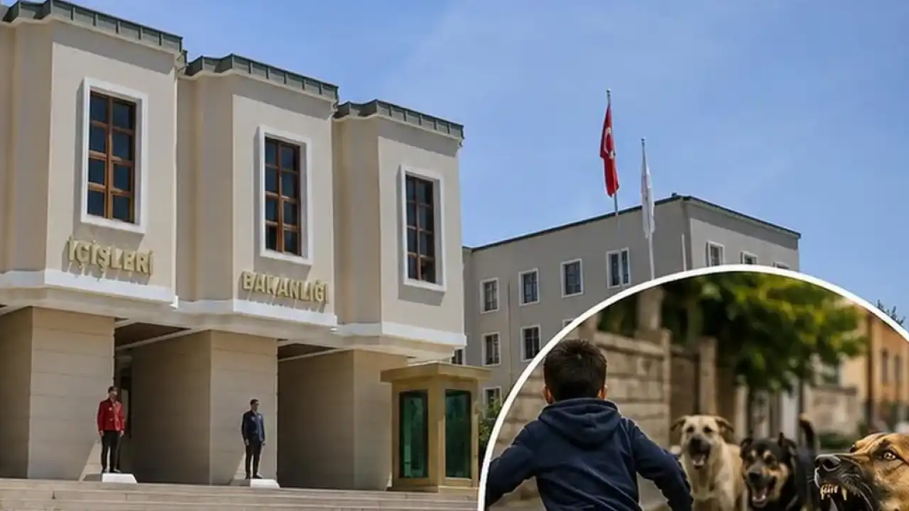 İçişleri’nden köpek saldırıları sonrası 3 belediye başkanı hakkında işlem… Muğla ve Erzurum’a soruşturma, Şanlıurfa’ya ön inceleme