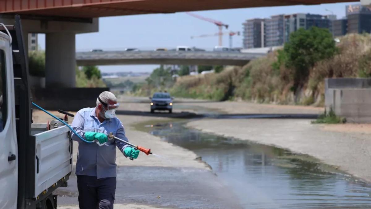İstanbul Bakırköy’de vektörle mücadele yoğunlaştı