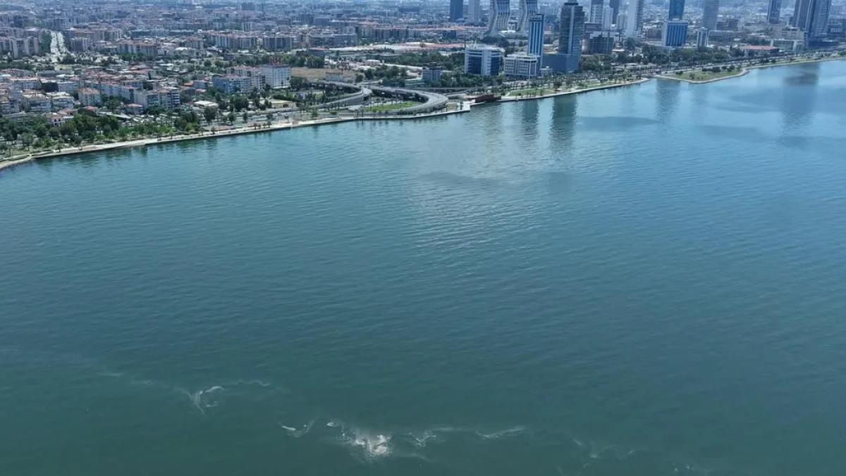İzmir Körfezi’nde 14’üncü kirlilik tespiti