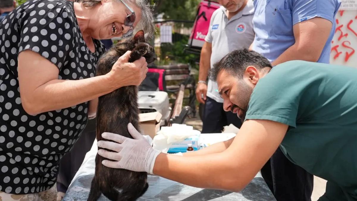 Maltepe’de sokak hayvanlarına yerinde sağlık desteği