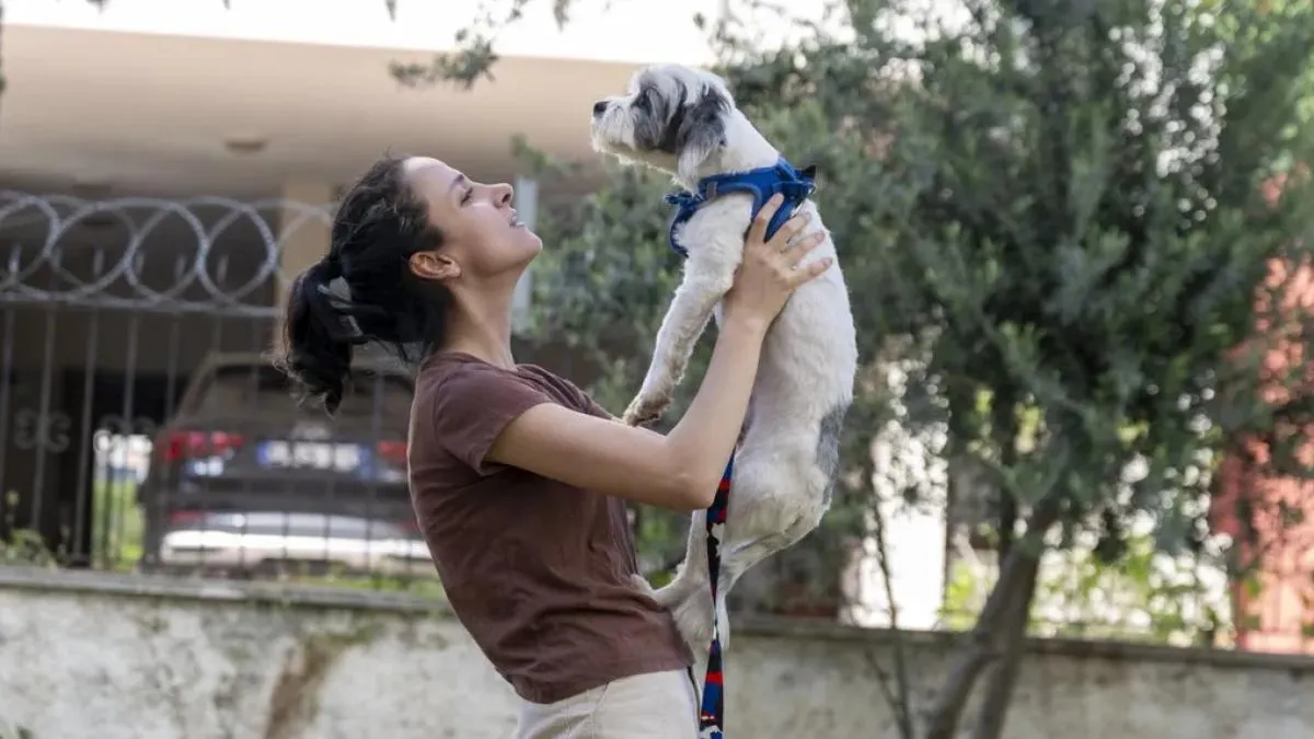 Mersin’de ‘Yaşamı Sahiplen’ kampanyasıyla binlerce can yuva buldu