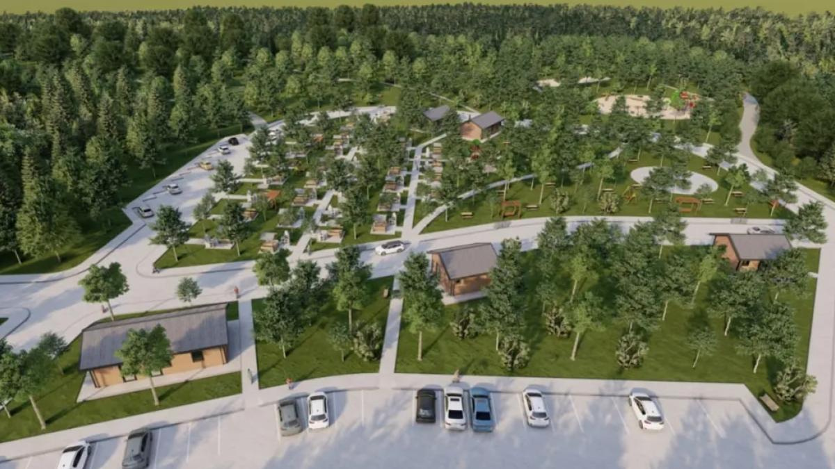 Sakarya’da 80 dönüm üzerine doğa projesi