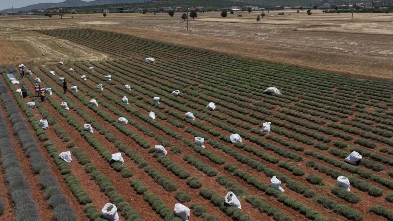 TZOB: 30 yılda 3 milyon hektar tarım arazisi kaybedildi!