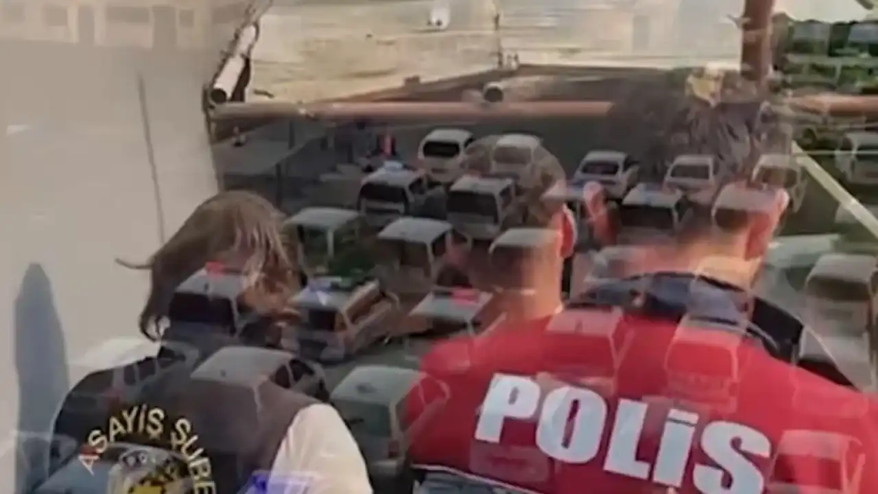 23 ilde dev dolandırıcılık! 307 gözaltı