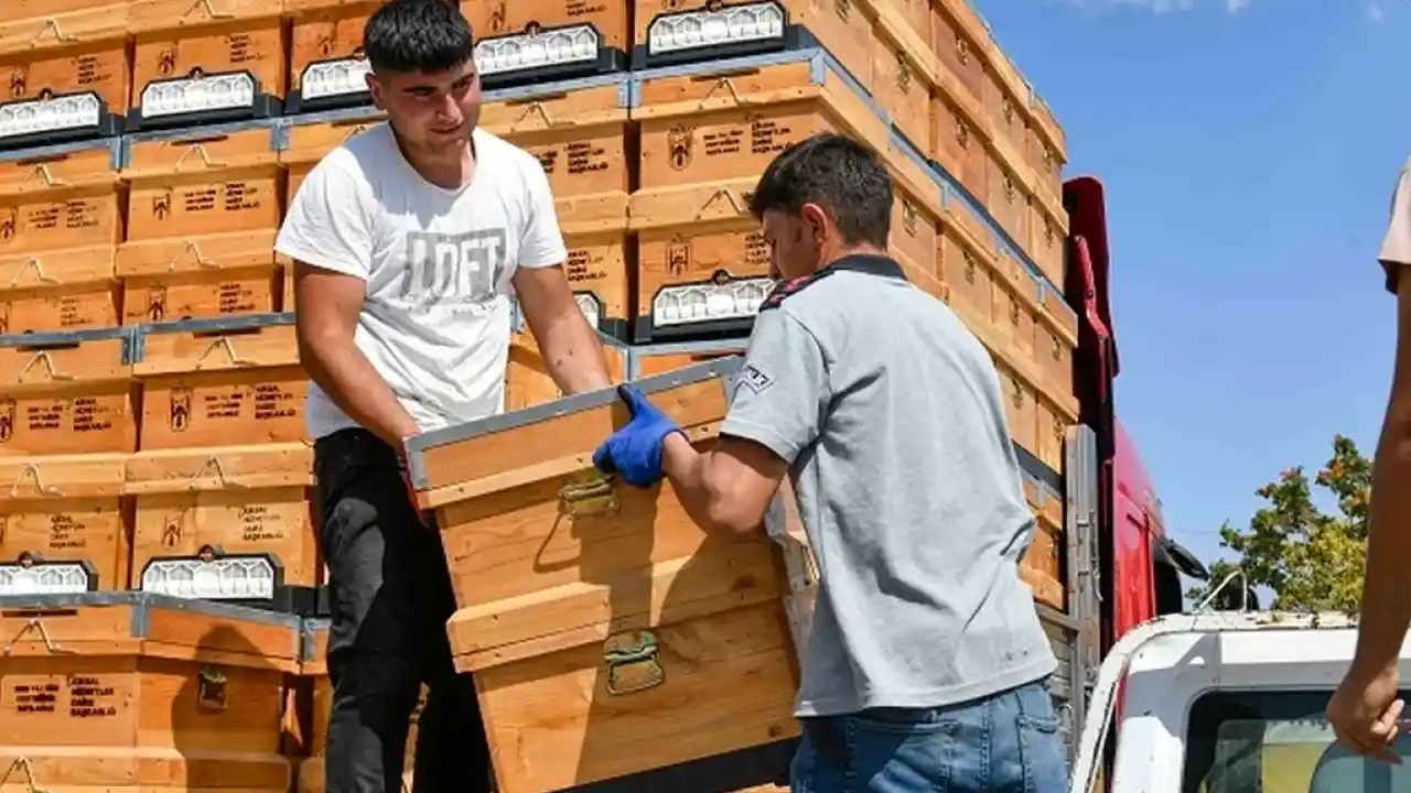 Ankara Büyükşehir’den arıcılara hibeli kovan desteği
