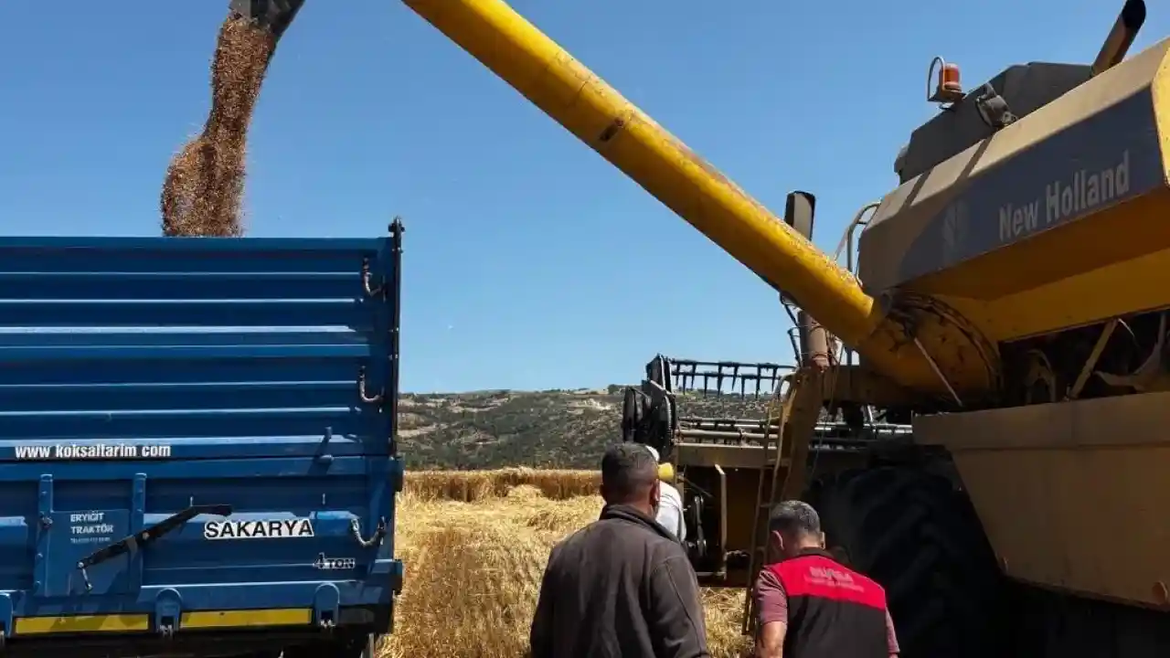 Bursa’da hububat hasadında sıkı denetim… Dane kaybına geçit yok