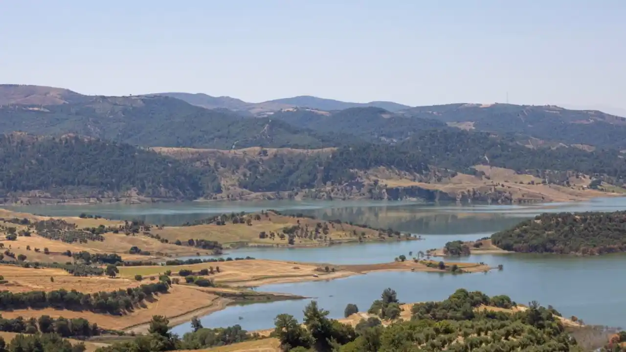 İzmir ve Manisa’dan dev çevre iş birliği… Gördes’e 2 bin dönümlük bal ormanı geliyor