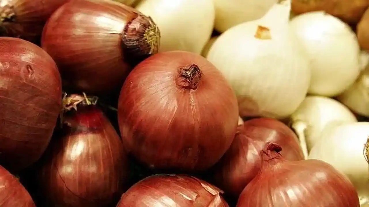 Kuru soğanda gümrük geçici yüzde 5’e indirildi