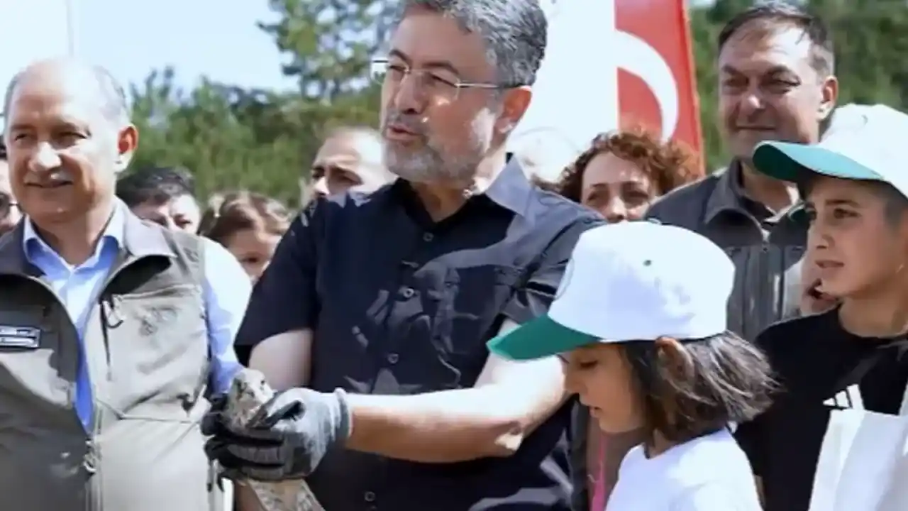 7 ayda 4 bin 732 yaralı hayvan doğaya kazandırıldı